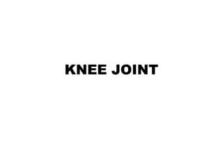 Knee Joint Pptx