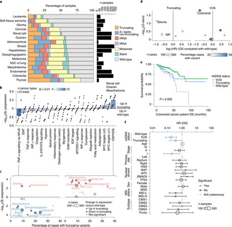 Mitochondrial Genotypes Associated With Transcriptional And Clinical