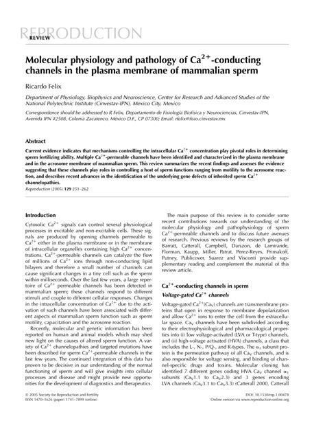 Pdf Molecular Physiology And Pathology Of Ca Conducting Channels In