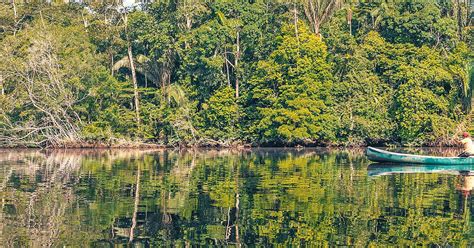 Rainforest Tours In Bolivia Jungle Treks And Excursions Evaneos