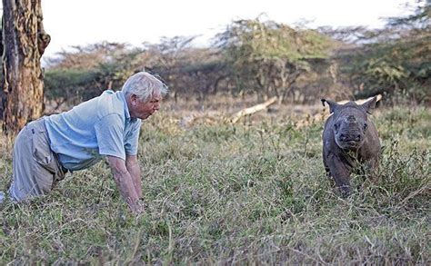 Q&A With Sir David Attenborough for BBC Africa - African Safari Consultants