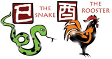 Year Of The Snake And Rooster Compatibility