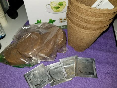 A Little Bit Of Me | Grow Your Own Herbal Tea With This Kit [Catnip,...