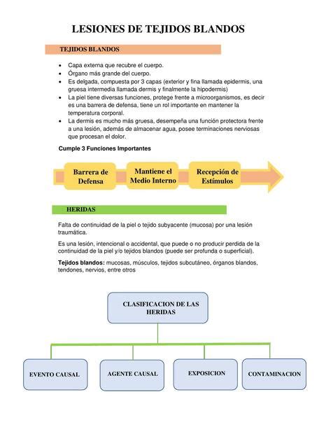 Lesiones De Tejidos Blandos Yudoc Org Udocz