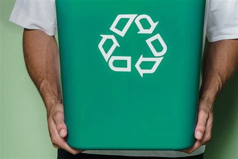 Academia Ponto Verde Vai Ensinar Os Mais Novos A Reciclar