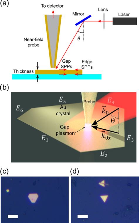 Figure From Anisotropic Generation And Detection Of Surface Plasmon