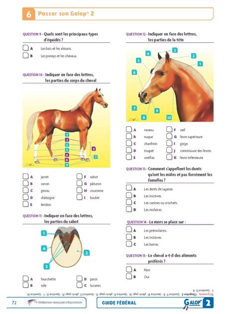 Guide Galop 2 FFE