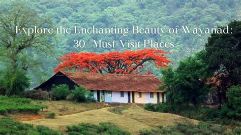 Explore The Enchanting Beauty Of Wayanad 30 Must Visit Places