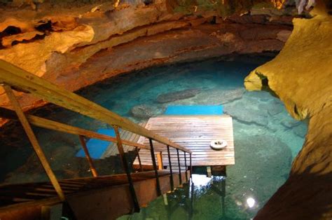 Devils Den Cavern Dive Picture Of Crystal River Florida Tripadvisor