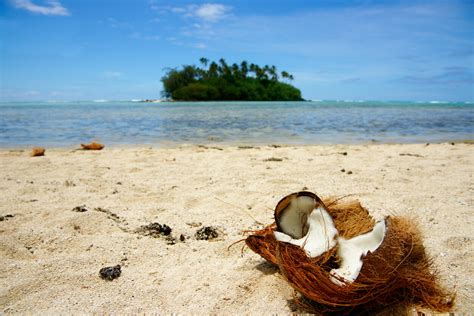 Beste Reistijd Palmerston Island Klimaat En Weer Maanden Om Te