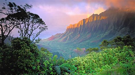 Landscape View Of Mountains Covered With Fog In Jungle Hd Jungle