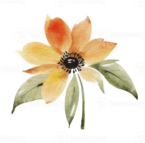 Yellow Flower Watercolor Illustration For Cards Design And