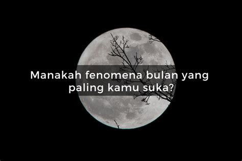 Quiz Dari Fenomena Bulan Ini Kami Bisa Tahu Kepribadianmu Yang