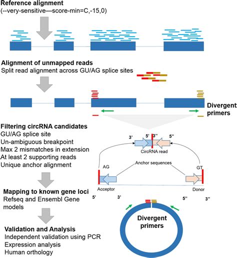 Schematic Description Of The Bioinformatics Analysis Pipeline Used For