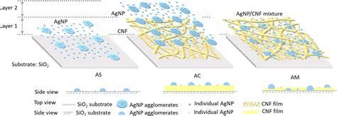 Layer By Layer Spray Coating Of Cellulose Nanofibrils And Silver Nanoparticles For Hydrophilic