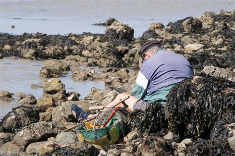 P Cher Sur L Le De Noirmoutier