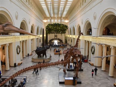 Field Museum Of Natural History In Chicago Tickets And Tours Hellotickets