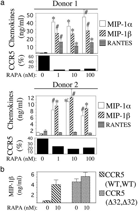 Rapamycin Causes Down Regulation Of Ccr5 And Accumulation Of Anti Hiv β