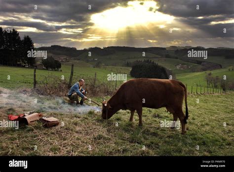 Original Film Title La Vache English Title One Man And His Cow Film