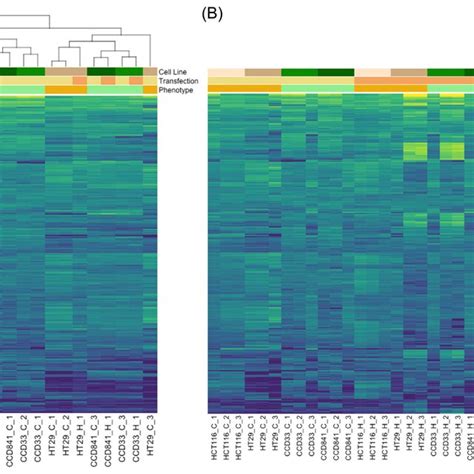 Heatmap Of The Differentially Expressed Genes In Crc Hct And Ht