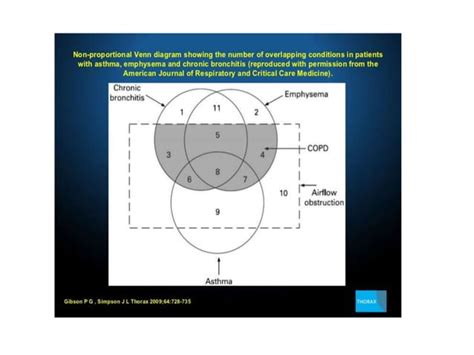 Copd Phenotypes PPT