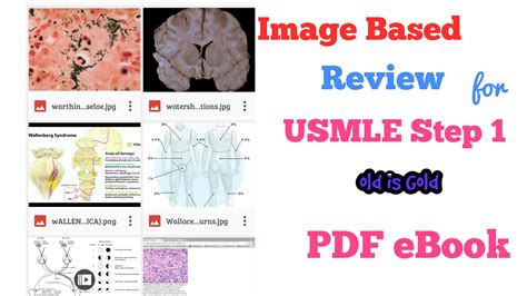 Usmle Step 1 Pdf Download Intlever