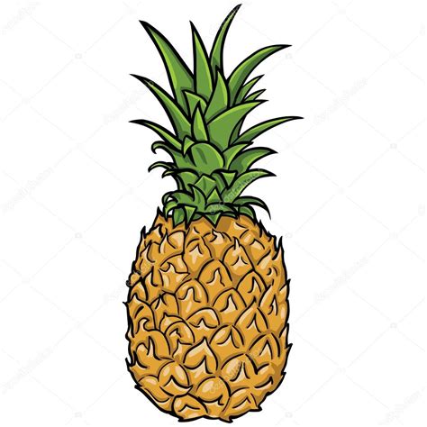 Vector Pineapple — Stock Vector © Nikiteev 29728113