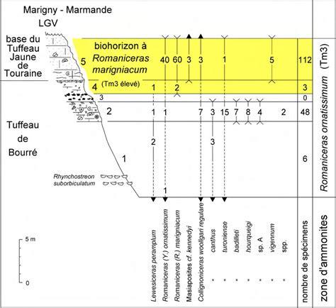 Coupe de la tranchée de la Ligne de chemin de fer à Grande Vitesse