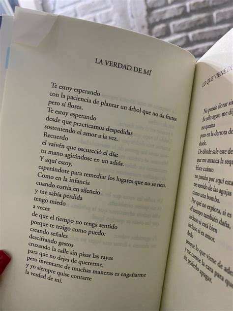 toda esta distancia paola soto en 2023 Verdades Arboles planta Poesía