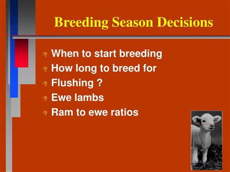 Ppt Breeding Season Management Powerpoint Presentation Free Download