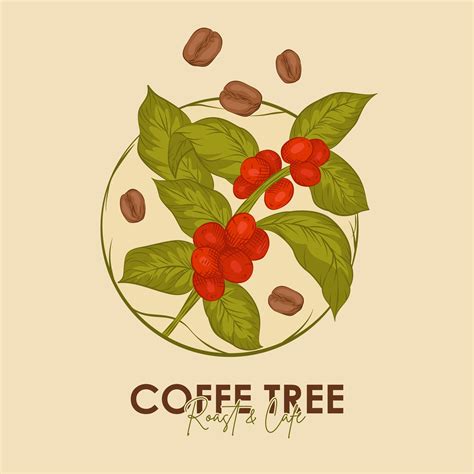 17-illustration of a coffee tree with coffee beans 34028133 Vector Art at Vecteezy