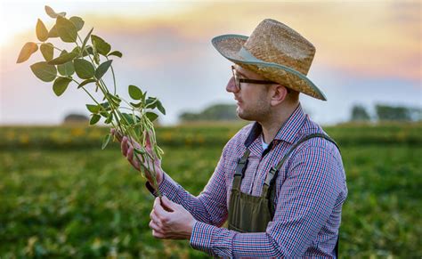 Para Qu Sirve La Lecitina De Soya Planeta Vegan