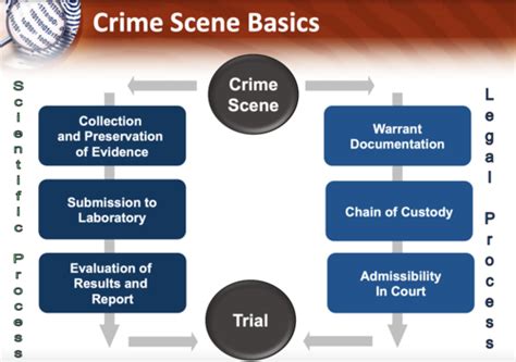 Forensics Midterm And Final Flashcards Quizlet