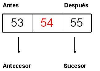 Matem Ticas Primero B Sico Antecesor Y Sucesor