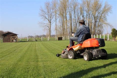 When To Stop Mowing Lawn In Fall Here Is The Answer