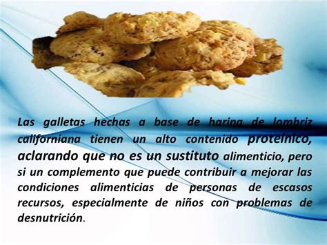 Galletas De Harina De Lombriz Youtube