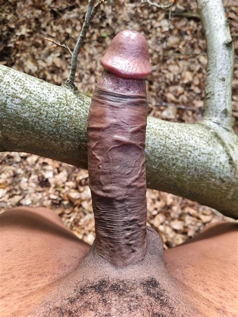 Morning Wood Nudes Blackcock Nude Pics Org