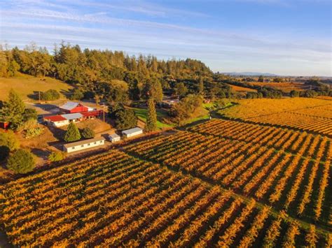 The Sonoma Valley Wine Region And Appellation Sonoma County Tourism