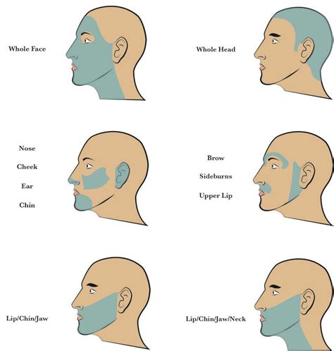 Clearstone Illustration Guide For Laser Hair Removal For The Chin