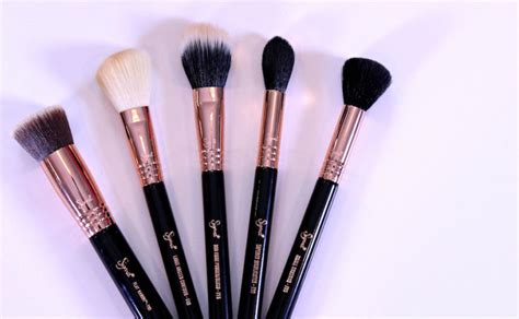 Makeup Brushes Guide The Best Ones For Beginners Super Vaidosa