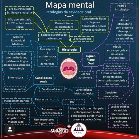 Pin De Amauri Filho Em Medicina Mapas Mentais Histologia Medicina