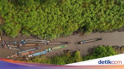 Potret Restorasi Ekosistem Hutan Gambut di Kalimantan Tengah