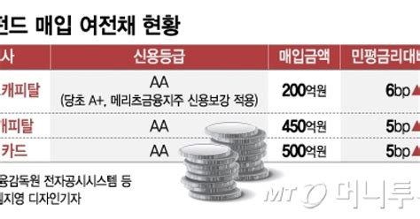 여전사에 서서히 열리는 채안펀드aa등급비금융지주면 Ok