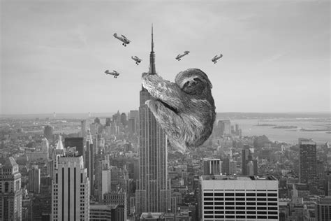 Sloth Climbing Empire State Building