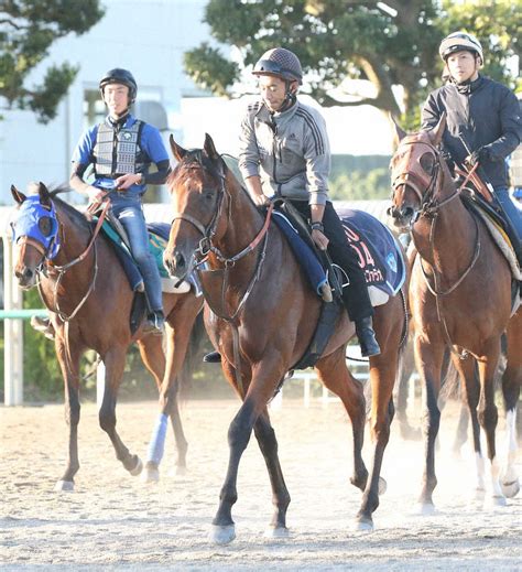 【シリウスs】ai予想 カフェファラオ初の古馬相手でも素質上位― スポニチ Sponichi Annex ギャンブル