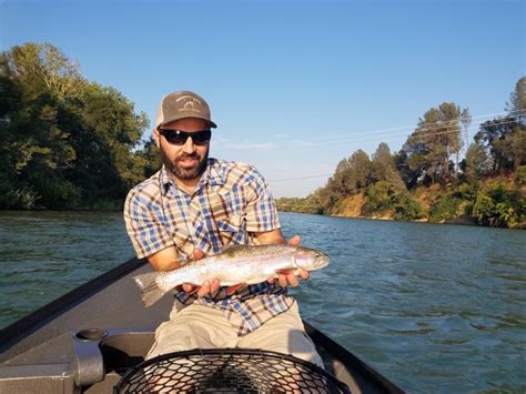 sacramento river fly fishing guided trip - Hookemheckys | Sacramento River Fly Fishing Guides