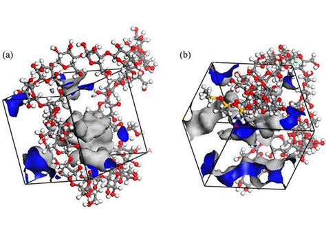 Molecular dynamics simulation – Protac