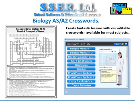 Sser Ltd