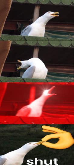 Seagull gets shut. Blank Template - Imgflip