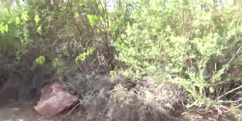 Anal Pov Amateur Tnaflix